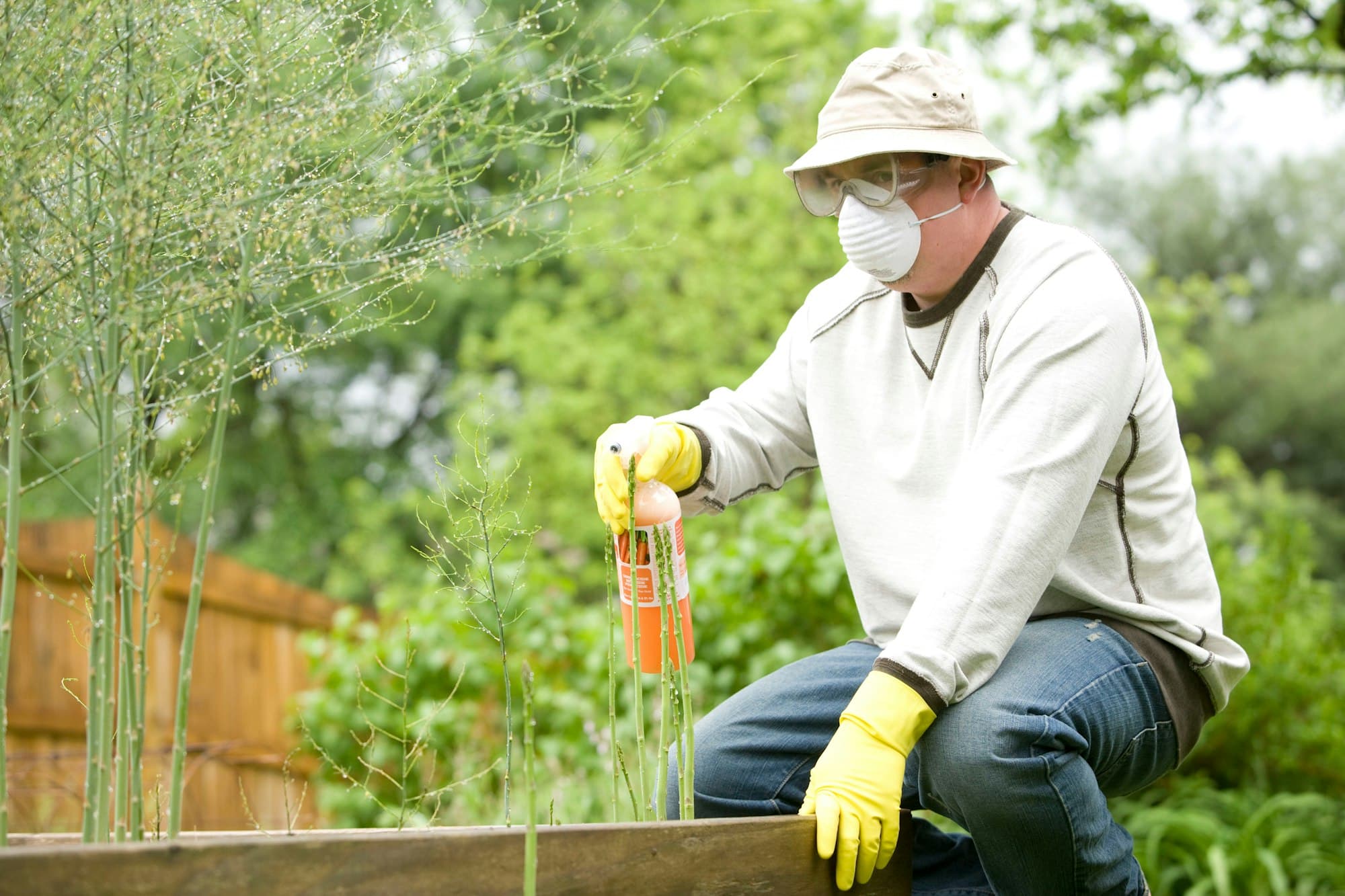 Person in a mask and gloves applying pest treatment in a backyard garden